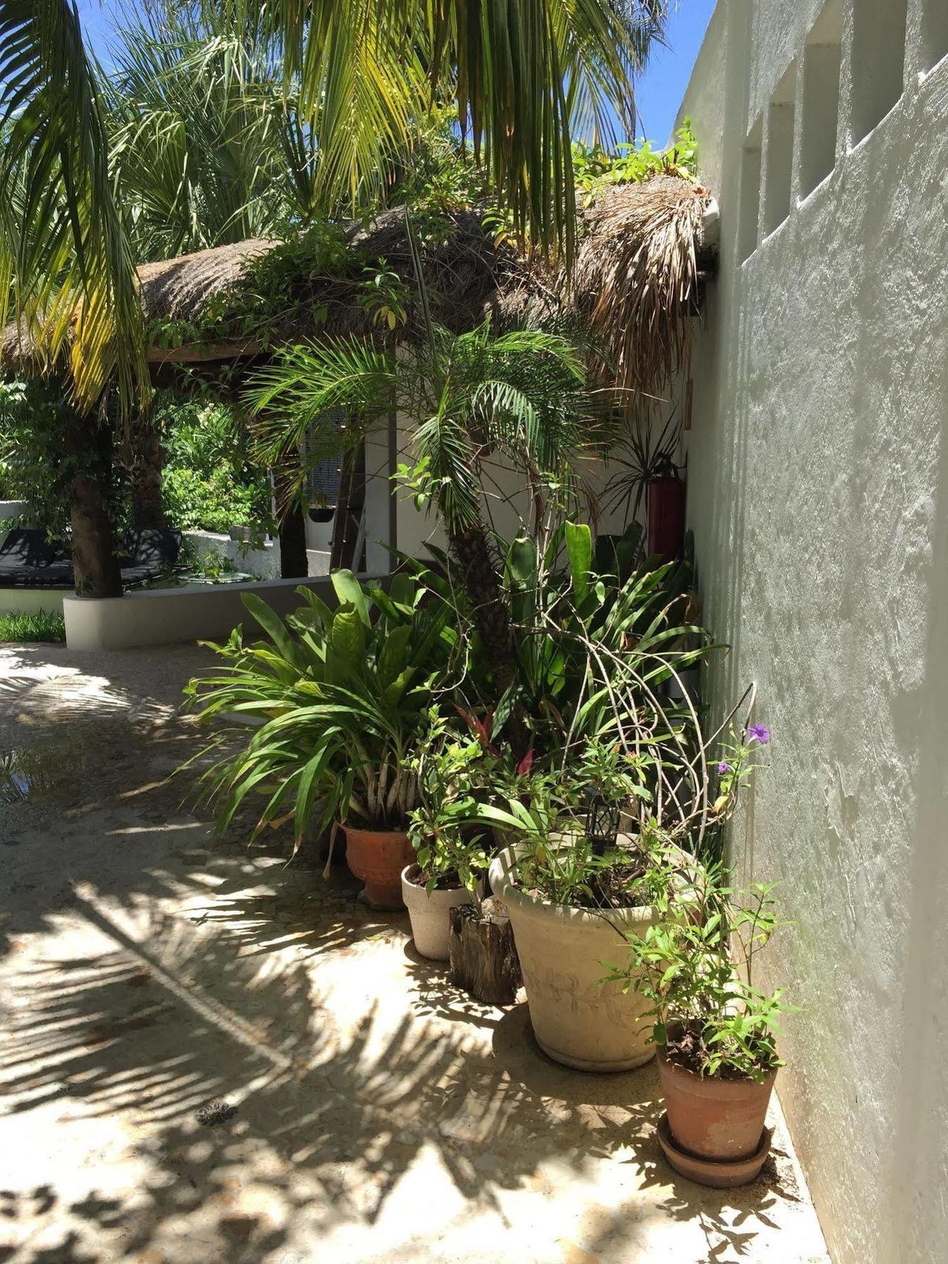 Mi Casa En Cozumel Hotel Kültér fotó